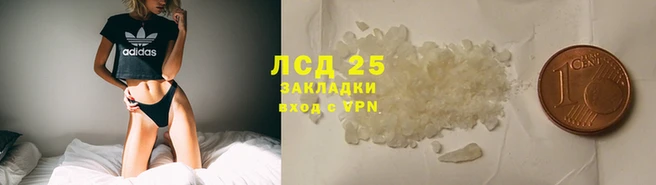 эйфоретик Кулебаки