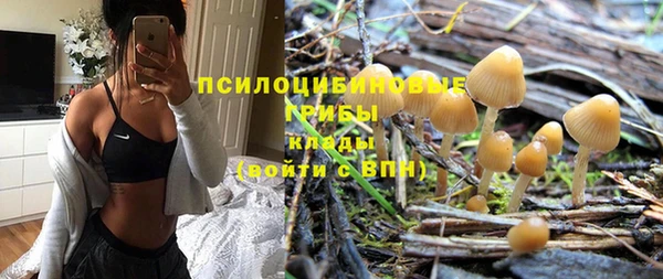 марки nbome Кукмор
