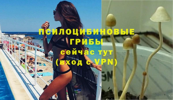 марки nbome Кукмор