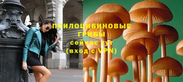 эйфоретик Кулебаки