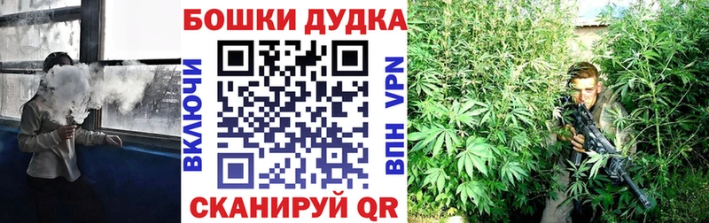 хочу   Калининград  Канабис Bruce Banner 